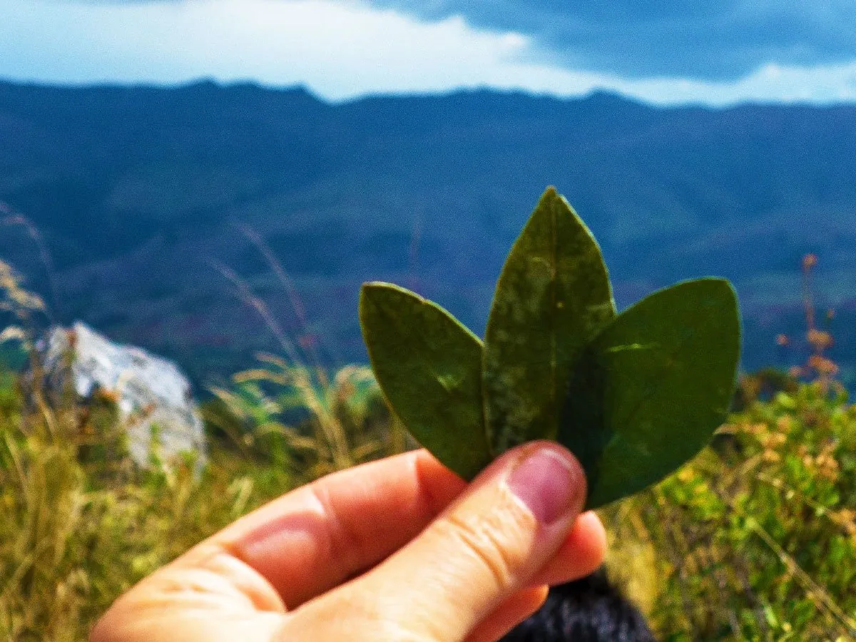 Viaje Místico y Espiritual · imagen 4