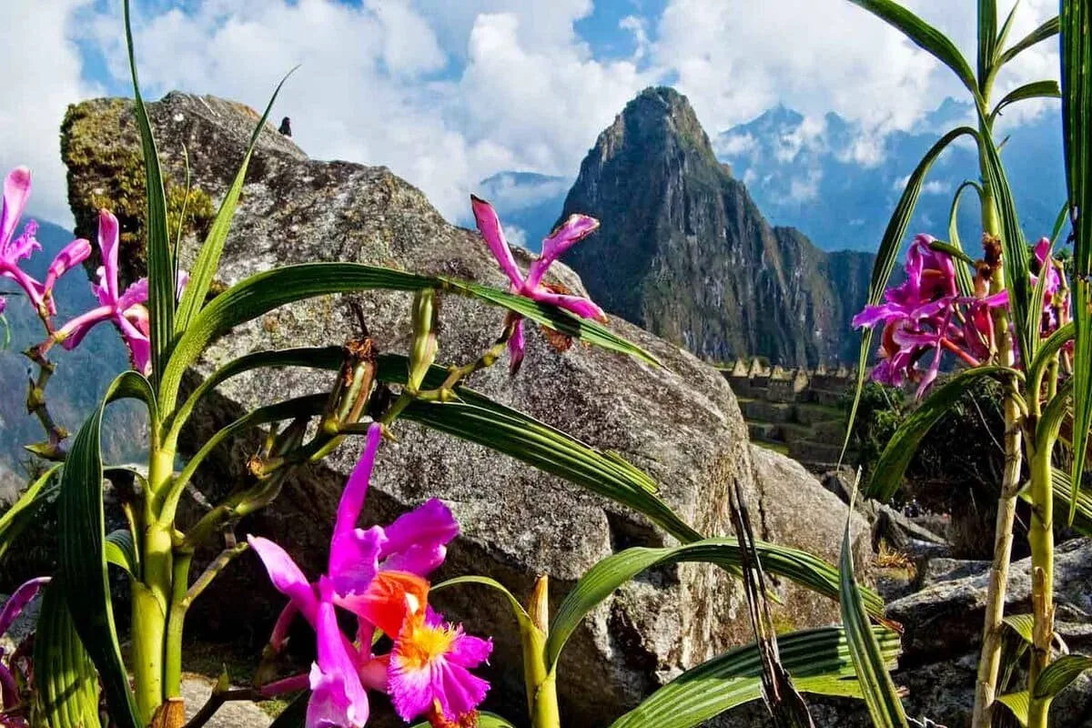 Caminata Lares 4 días