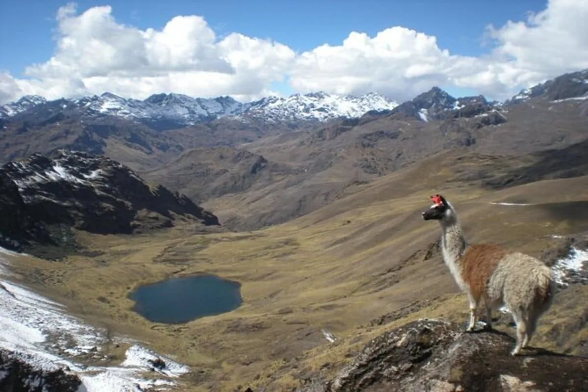 Caminata Lares 4 días · imagen 3