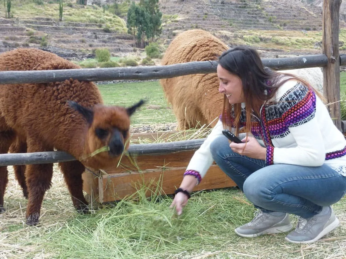 Cusco City Tour · imagen 6