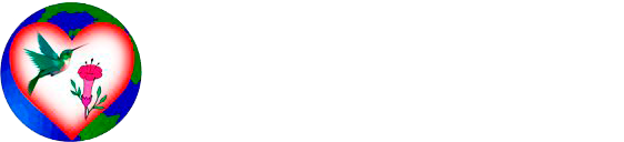 Travel Tours in Peru Traditional