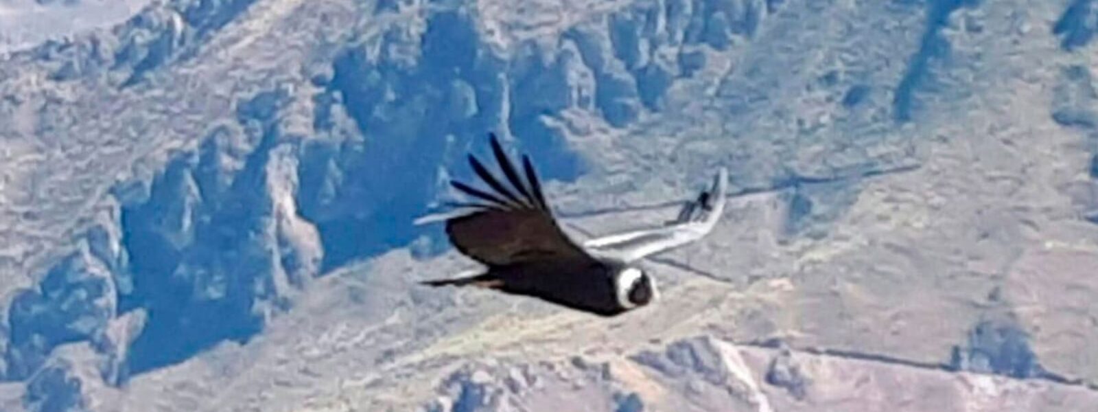 Valle Sagrado