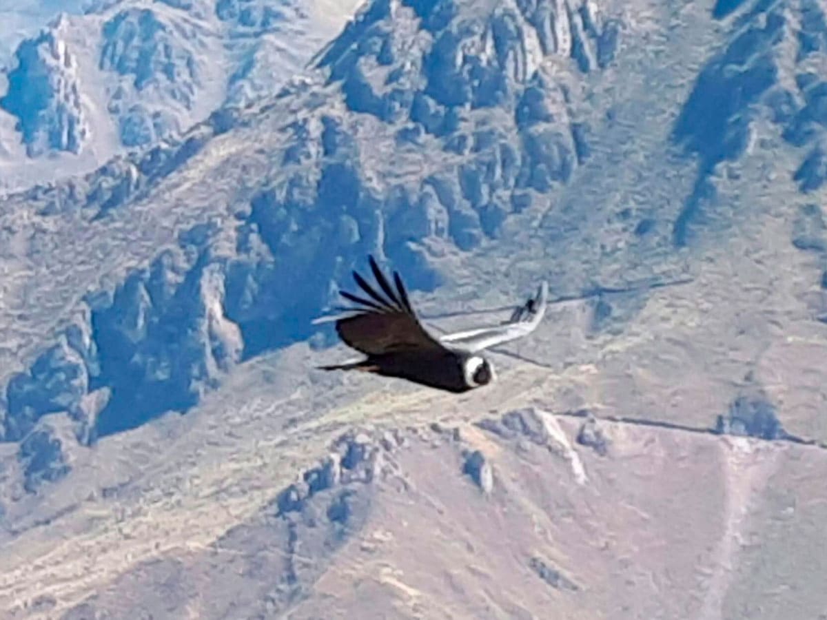 Valle Sagrado